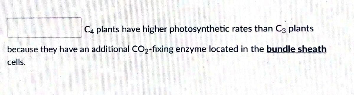 C4 plants have higher photosynthetic rates than C3 plants
because they have an additional CO2-fixing enzyme located in the bundle sheath
cells.