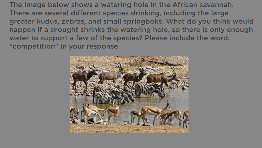 The image below shows a watering hole in the African savannah.
There are several different species drinking, including the large
greater kudus, zebras, and small springboks. What do you think would
happen if a drought shrinks the watering hole, so there is only enough
water to support a few of the species? Please include the word,
"competition" in your response.
