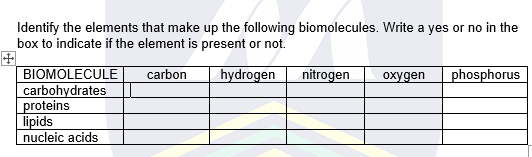 Identify the elements that make up the following biomolecules. Write a yes or no in the
box to indicate if the element is present or not.
BIOMOLECULE
carbohydrates
proteins
lipids
carbon
hydrogen
nitrogen
oxygen
phosphorus
nucleic acids

