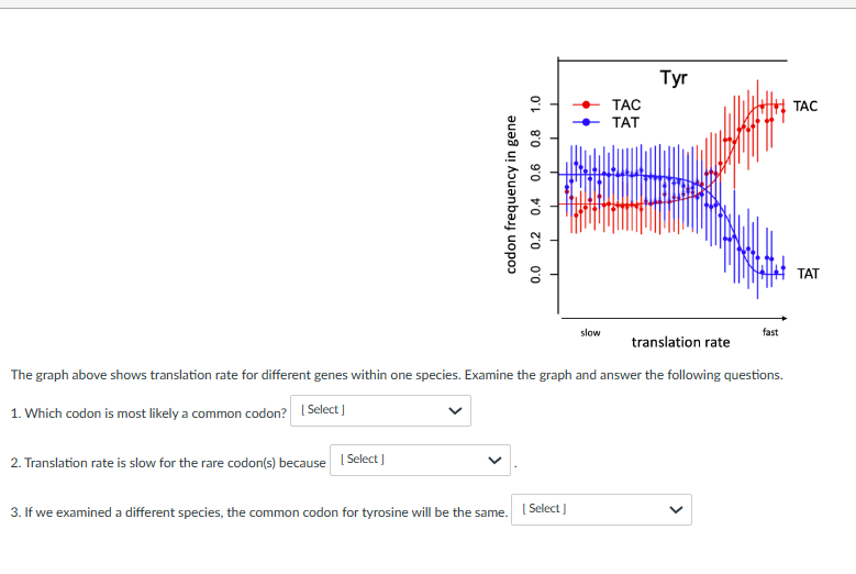 2. Translation rate is slow for the rare codon(s) because
0.8 1.0
Select]
0.6
codon frequency in gene
0.0 0.2 0.4
slow
3. If we examined a different species, the common codon for tyrosine will be the same. [Select]
TAC
TAT
Tyr
The graph above shows translation rate for different genes within one species. Examine the graph and answer the following questions.
1. Which codon is most likely a common codon? [Select]
translation rate
fast
<
TAC
TAT