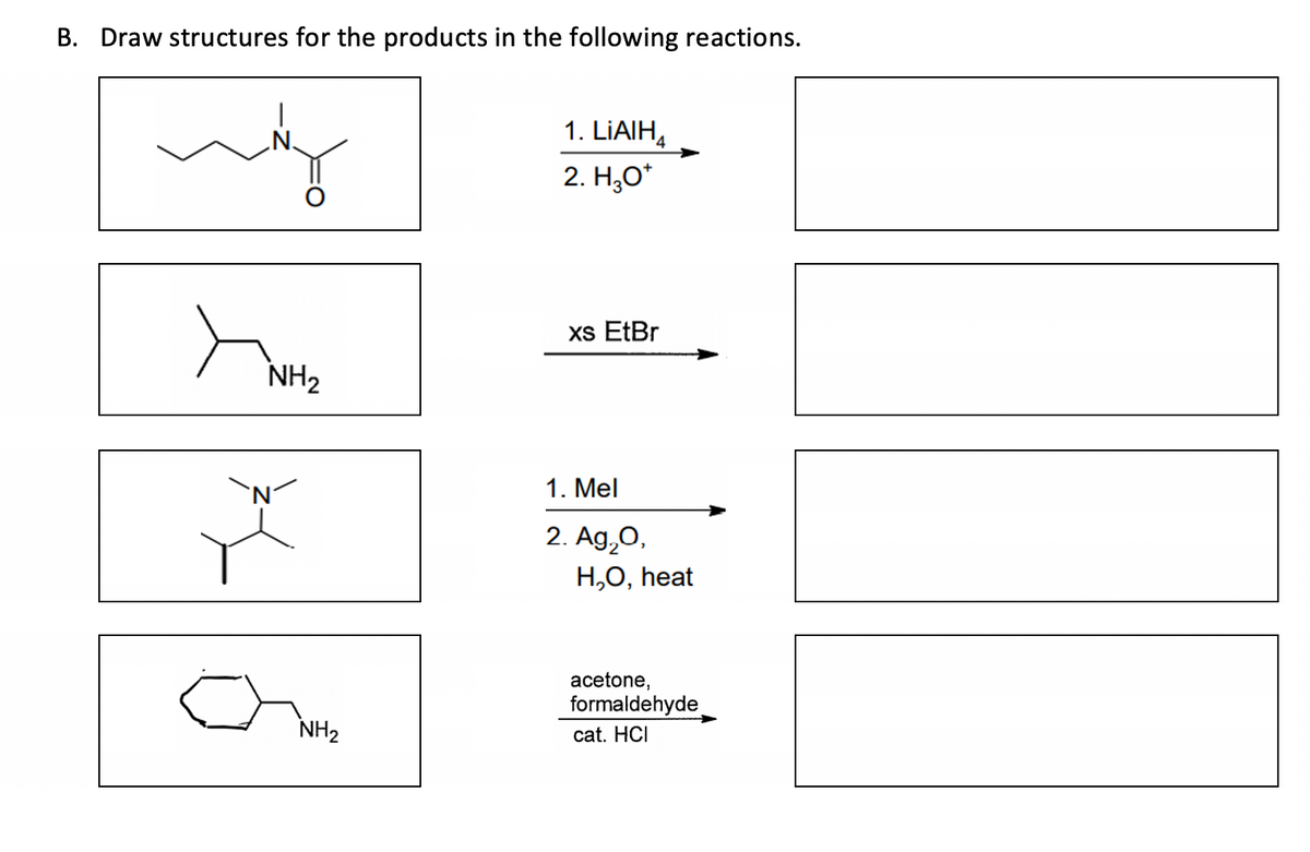 B. Draw structures for the products in the following reactions.
my
NH₂
NH₂
1. LIAIH4
2. H₂O*
xs EtBr
1. Mel
2. Ag₂O,
H,O, heat
acetone,
formaldehyde
cat. HCI