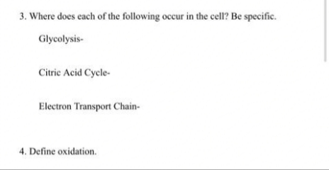 3. Where does each of the following occur in the cell? Be specific.
Glycolysis-
Citric Acid Cycle-
Electron Transport Chain-
4. Define oxidation.
