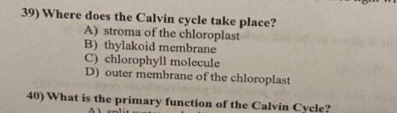 39) Where does the Calvin cycle take place?
A) stroma of the chloroplast
B) thylakoid membrane
C) chlorophyll molecule
D) outer membrane of the chloroplast
40) What is the primary function of the Calvin Cycle?
A) split ue
