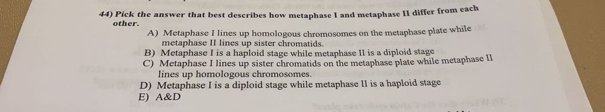 44) Pick the answer that best describes how metaphase I and metaphase II differ from each
other.
A) Metaphase I lines up homologous chromosomes on the metaphase plate while
metaphase II lines up sister chromatids.
B) Metaphase I is a haploid stage while metaphase II is a diploid stage
C) Metaphase I lines up sister chromatids on the metaphase plate while metaphase II
lines up homologous chromosomes.
D) Metaphase I is a diploid stage while metaphase II is a haploid stage
E) A&D
