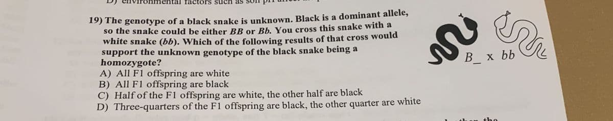 făctőrs suc
19) The genotype of a black snake is unknown. Black is a dominant allele,
so the snake could be either BB or Bb. You cross this snake with a
white snake (bb). Which of the following results of that cross would
support the unknown genotype of the black snake being a
homozygote?
A) All F1 offspring are white
B) All F1 offspring are black
C) Half of the F1 offspring are white, the other half are black
D) Three-quarters of the F1 offspring are black, the other quarter are white
В x bb
the
