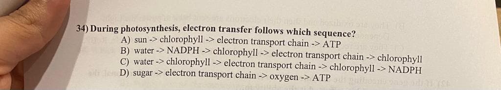 34) During photosynthesis, electron transfer follows which sequence?
A) sun -> chlorophyll -> electron transport chain -> ATP i vo
B) water -> NADPH -> chlorophyll -> electron transport chain -> chlorophyll
C) water -> chlorophyll -> electron transport chain -> chlorophyll -> NADPH
Jen D) sugar -> electron transport chain -> oxygen -> ATP
