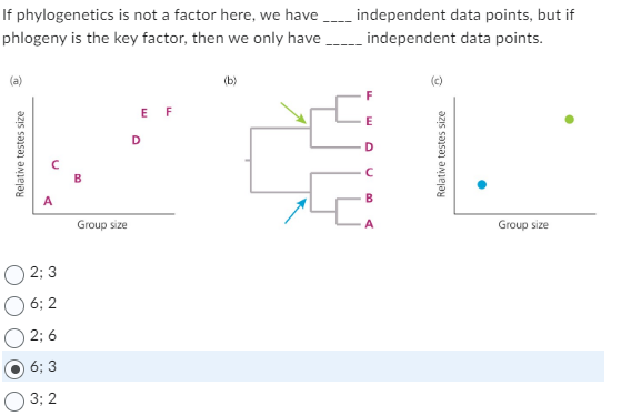 If phylogenetics is not a factor here, we have _____independent data points, but if
phlogeny is the key factor, then we only have
independent data points.
(a)
A
2; 3
06; 2
2; 6
6; 3
3; 2
B
Group size
EF
D
(b)
Group size