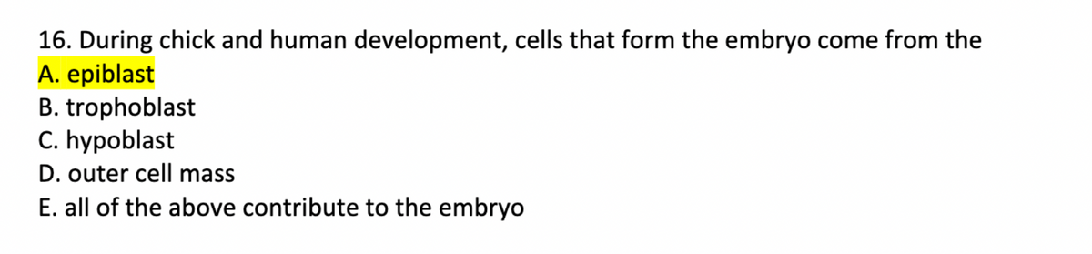 16. During chick and human development, cells that form the embryo come from the
A. epiblast
B. trophoblast
C. hypoblast
D. outer cell mass
E. all of the above contribute to the embryo