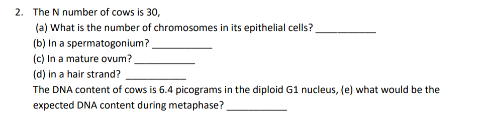2. The N number of cows is 30,
(a) What is the number of chromosomes in its epithelial cells?
(b) In a spermatogonium?
(c) In a mature ovum?
(d) in a hair strand?
The DNA content of cows is 6.4 picograms in the diploid G1 nucleus, (e) what would be the
expected DNA content during metaphase?