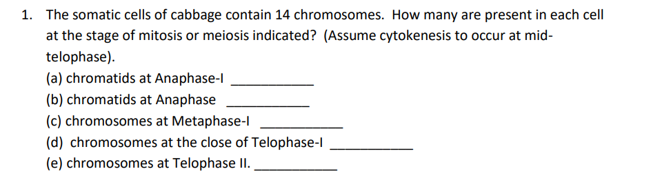 1. The somatic cells of cabbage contain 14 chromosomes. How many are present in each cell
at the stage of mitosis or meiosis indicated? (Assume cytokenesis to occur at mid-
telophase).
(a) chromatids at Anaphase-l
(b) chromatids at Anaphase
(c) chromosomes at Metaphase-l
(d) chromosomes at the close of Telophase-I
(e) chromosomes at Telophase II.