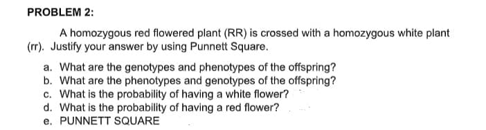 PROBLEM 2:
A homozygous red flowered plant (RR) is crossed with a homozygous white plant
(rr). Justify your answer by using Punnett Square.
a. What are the genotypes and phenotypes of the offspring?
b. What are the phenotypes and genotypes of the offspring?
c. What is the probability of having a white flower?
d. What is the probability of having a red flower?
e. PUNNETT SQUARE
