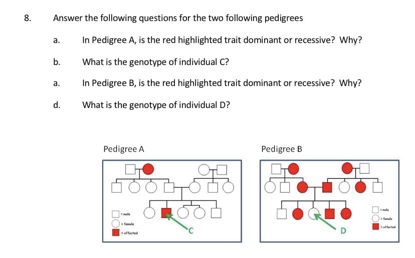 8.
Answer the following questions for the two following pedigrees
In Pedigree A, is the red highlighted trait dominant or recessive? Why?
а.
b.
What is the genotype of individual C?
In Pedigree B, is the red highlighted trait dominant or recessive? Why?
а.
d.
What is the genotype of individual D?
Pedigree A
Pedigree B
mele
male
: foncle
I femole
teffected
D
offected
