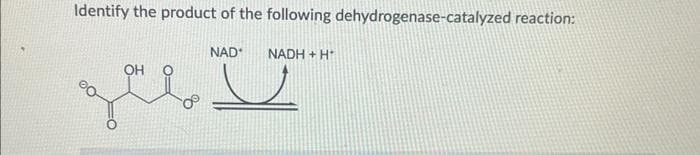 Identify the product of the following dehydrogenase-catalyzed reaction:
NAD
OH
م
NADH + H
