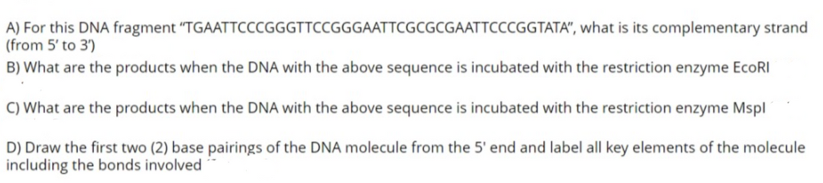 A) For this DNA fragment
(from 5' to 3')
"TGAATTCCCGGGTTCCGGGAATTCGCGCGAATTCCCGGTATA",
what is its complementary strand
B) What are the products when the DNA with the above sequence is incubated with the restriction enzyme EcoRI
C) What are the products when the DNA with the above sequence is incubated with the restriction enzyme Mspl
D) Draw the first two (2) base pairings of the DNA molecule from the 5' end and label all key elements of the molecule
including the bonds involved