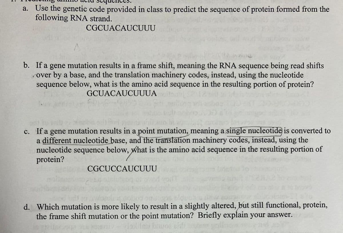 a. Use the genetic code provided in class to predict the sequence of protein formed from the
following RNA strand.
CGCUACAUCUUU
b. If a gene mutation results in a frame shift, meaning the RNA sequence being read shifts
rover by a base, and the translation machinery codes, instead, using the nucleotide
sequence below, what is the amino acid sequence in the resulting portion of protein?
GCUACAUCUUUA
c. If a gene mutation results in a point mutation, meaning a single nucleotide is converted to
a different nucleotide base, and the translation machinery codes, instead, using the
nucleotide sequence below, what is the amino acid sequence in the resulting portion of
protein?
CGCUCCAUCUUU
d. Which mutation is more likely to result in a slightly altered, but still functional, protein,
the frame shift mutation or the point mutation? Briefly explain your answer.
