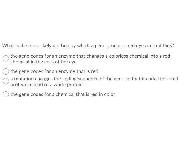 What is the most likely method by which a gene produces red eyes in fruit flies?
the gene codes for an enzyme that changes a colorless chemical into a red
chemical in the cells of the eye
the gene codes for an enzyme that is red
a mutation changes the coding sequence of the gene so that it codes for a red
protein instead of a white protein
the gene codes for a chemical that is red in color
