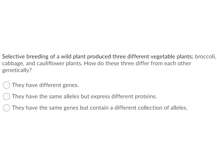 Selective breeding of a wild plant produced three different vegetable plants; broccoli,
cabbage, and cauliflower plants. How do these three differ from each other
genetically?
They have different genes.
They have the same alleles but express different proteins.
They have the same genes but contain a different collection of alleles.
