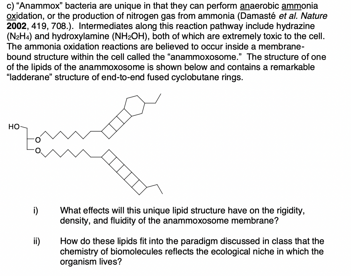 c) "Anammox" bacteria are unique in that they can perform anaerobic ammonia
oxidation, or the production of nitrogen gas from ammonia (Damasté et al. Nature
2002, 419, 708.). Intermediates along this reaction pathway include hydrazine
(N₂H4) and hydroxylamine (NH₂OH), both of which are extremely toxic to the cell.
The ammonia oxidation reactions are believed to occur inside a membrane-
bound structure within the cell called the "anammoxosome." The structure of one
of the lipids of the anammoxosome is shown below and contains a remarkable
"ladderane" structure of end-to-end fused cyclobutane rings.
HO
i)
ii)
What effects will this unique lipid structure have on the rigidity,
density, and fluidity of the anammoxosome membrane?
How do these lipids fit into the paradigm discussed in class that the
chemistry of biomolecules reflects the ecological niche in which the
organism lives?