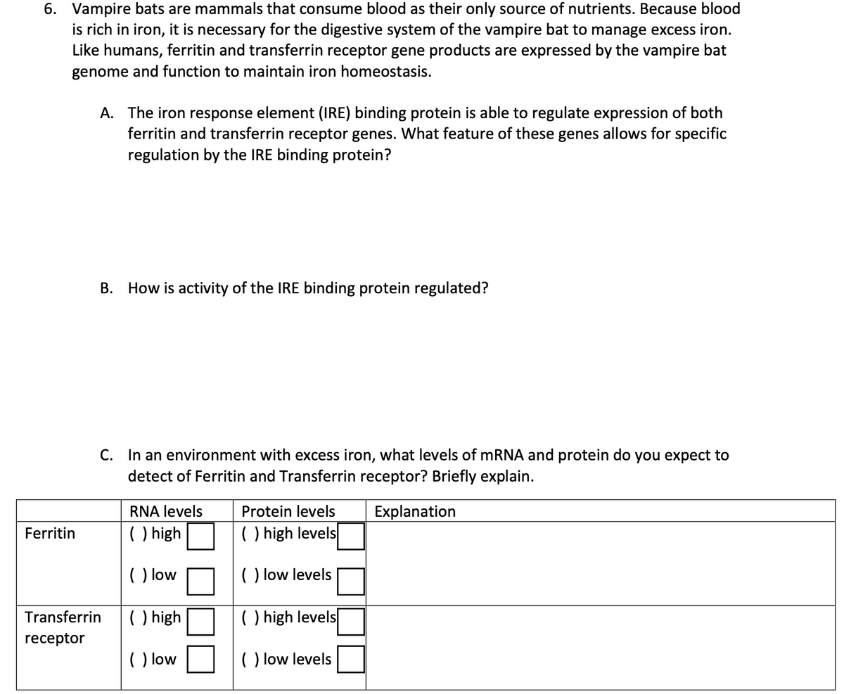 6. Vampire bats are mammals that consume blood as their only source of nutrients. Because blood
is rich in iron, it is necessary for the digestive system of the vampire bat to manage excess iron.
Like humans, ferritin and transferrin receptor gene products are expressed by the vampire bat
genome and function to maintain iron homeostasis.
Ferritin
A. The iron response element (IRE) binding protein is able to regulate expression of both
ferritin and transferrin receptor genes. What feature of these genes allows for specific
regulation by the IRE binding protein?
B. How is activity of the IRE binding protein regulated?
C. In an environment with excess iron, what levels of mRNA and protein do you expect to
detect of Ferritin and Transferrin receptor? Briefly explain.
Explanation
Transferrin
receptor
RNA levels
( ) high
( ) low
( ) high
( ) low
Protein levels
() high levels
( ) low levels
() high levels
( ) low levels