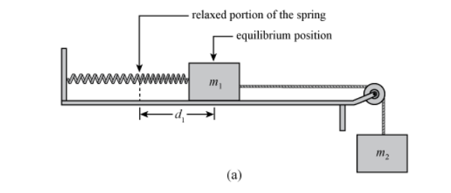 - relaxed portion of the spring
equilibrium position
m,
m2
(a)
