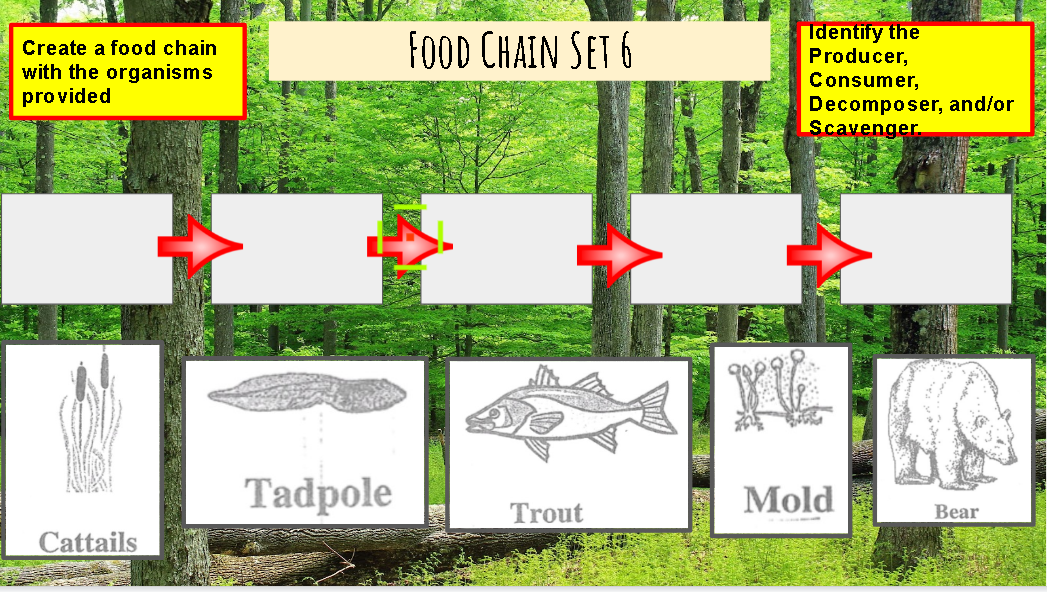 FOOD CHAIN SET 6
Identify the
Producer,
Consumer,
Create a food chain
with the organisms
provided
Decomposer, and/or
Scavenger.
Tadpole
Mold
Trout
Bear
Cattails
