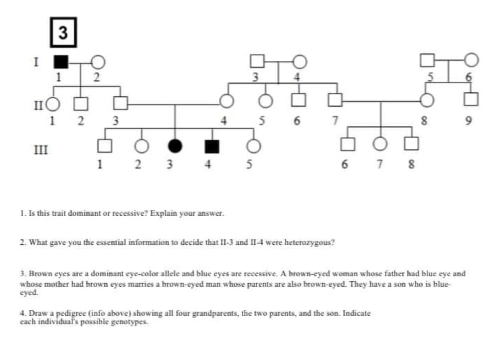 3
IIO
1
III
2
1
3
2 3 4
1. Is this trait dominant or recessive? Explain your answer.
3
5
4
6 7
2. What gave you the essential information to decide that II-3 and II-4 were heterozygous?
6 7 8
8
4. Draw a pedigree (info above) showing all four grandparents, the two parents, and the son. Indicate
each individual's possible genotypes.
9
3. Brown eyes are a dominant eye-color allele and blue eyes are recessive. A brown-eyed woman whose father had blue eye and
whose mother had brown eyes marries a brown-eyed man whose parents are also brown-eyed. They have a son who is blue-
eyed.