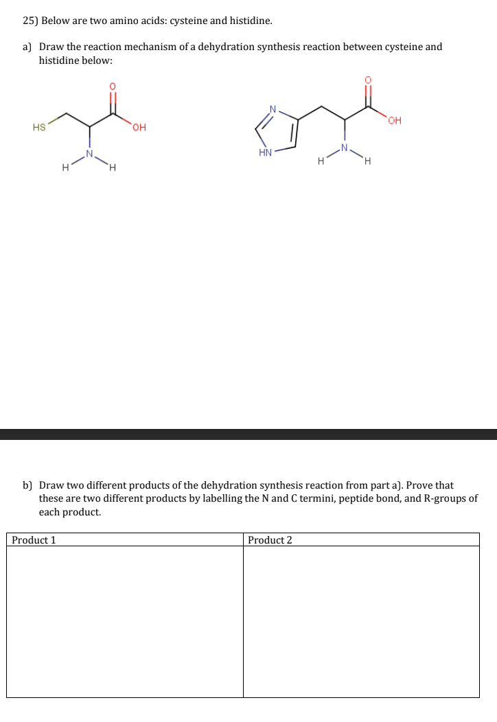 25) Below are two amino acids: cysteine and histidine.
a) Draw the reaction mechanism of a dehydration synthesis reaction between cysteine and
histidine below:
HS
H
Product 1
OH
ox
HN
H
b) Draw two different products of the dehydration synthesis reaction from part a). Prove that
these are two different products by labelling the N and C termini, peptide bond, and R-groups of
each product.
Product 2
OH
