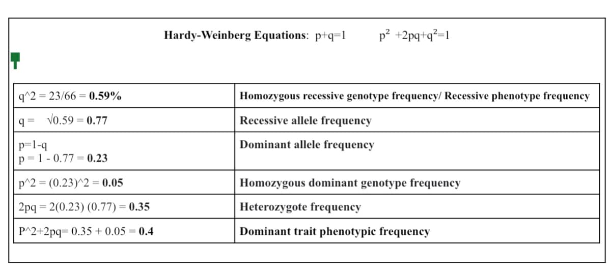 q^2=23/66= 0.59%
q= √0.59 = 0.77
p=1-q
p=1-0.77= 0.23
p^2=(0.23)^2 = 0.05
2pq=2(0.23) (0.77) = 0.35
P^2+2pq=0.35 + 0.05 = 0.4
Hardy-Weinberg Equations: p+q=1 p² +2pq+q²=1
Homozygous recessive genotype frequency/ Recessive phenotype frequency
Recessive allele frequency
Dominant allele frequency
Homozygous dominant genotype frequency
Heterozygote frequency
Dominant trait phenotypic frequency