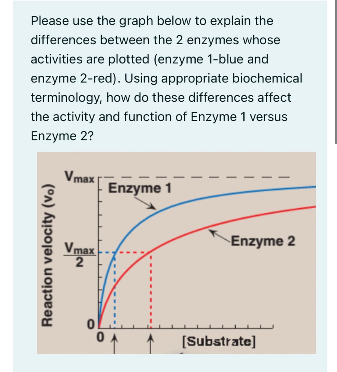 Please use the graph below to explain the
differences between the 2 enzymes whose
activities are plotted (enzyme 1-blue and
enzyme 2-red). Using appropriate biochemical
terminology, how do these differences affect
the activity and function of Enzyme 1 versus
Enzyme 2?
Reaction velocity (vo)
Vmax
Vmax
2
0
0
Enzyme 1
Enzyme 2
[Substrate]