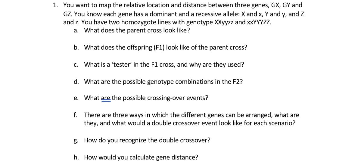 1. You want to map the relative location and distance between three genes, GX, GY and
GZ. You know each gene has a dominant and a recessive allele: X and x, Y and y, and Z
and z. You have two homozygote lines with genotype XXyyzz and xXYYYZZ.
a. What does the parent cross look like?
b. What does the offspring (F1) look like of the parent cross?
c. What is a 'tester' in the F1 cross, and why are they used?
d. What are the possible genotype combinations in the F2?
e. What are the possible crossing-over events?
f. There are three ways in which the different genes can be arranged, what are
they, and what would a double crossover event look like for each scenario?
g. How do you recognize the double crossover?
h. How would you calculate gene distance?