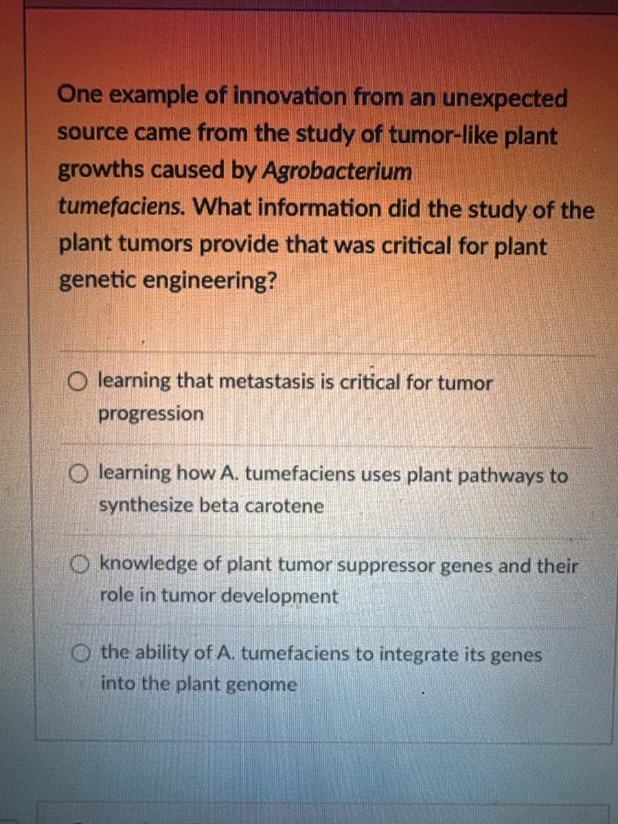 One example of innovation from an unexpected
source came from the study of tumor-like plant
growths caused by Agrobacterium
tumefaciens. What information did the study of the
plant tumors provide that was critical for plant
genetic engineering?
O learning that metastasis is critical for tumor
progression
Olearning how A. tumefaciens uses plant pathways to
synthesize beta carotene
Oknowledge of plant tumor suppressor genes and their
role in tumor development
Othe ability of A. tumefaciens to integrate its genes
into the plant genome