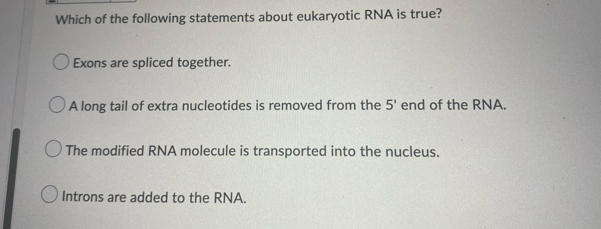 Which of the following statements about eukaryotic RNA is true?
O Exons are spliced together.
OA long tail of extra nucleotides is removed from the 5' end of the RNA.
O The modified RNA molecule is transported into the nucleus.
O Introns are added to the RNA.
