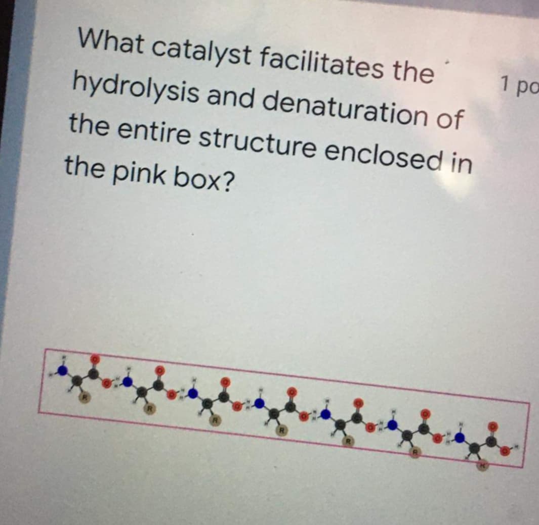 What catalyst facilitates the
1 po
hydrolysis and denaturation of
the entire structure enclosed in
the pink box?
