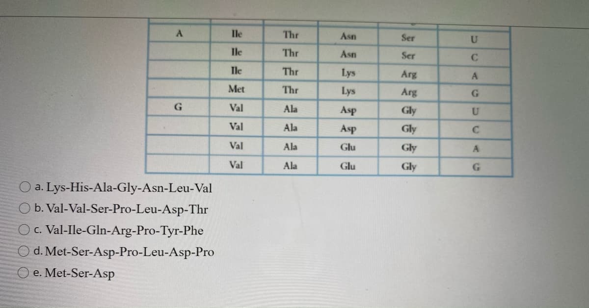 Ile
Thr
Asn
Ser
Ile
Thr
Asn
Ser
Ile
Thr
Lys
Arg
A
Met
Thr
Lys
Arg
Val
Ala
Asp
Gly
U
Val
Ala
Asp
Gly
Val
Ala
Glu
Gly
Val
Ala
Glu
Gly
O a. Lys-His-Ala-Gly-Asn-Leu-Val
b. Val-Val-Ser-Pro-Leu-Asp-Thr
c. Val-Ile-Gln-Arg-Pro-Tyr-Phe
d. Met-Ser-Asp-Pro-Leu-Asp-Pro
e. Met-Ser-Asp
