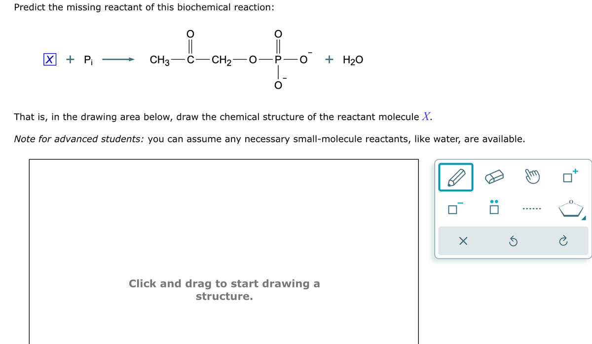 Predict the missing reactant of this biochemical reaction:
anatate..
CH3 C CH₂¯
X Pi
+ H₂O
That is, in the drawing area below, draw the chemical structure of the reactant molecule X.
Note for advanced students: you can assume any necessary small-molecule reactants, like water, are available.
Click and drag to start drawing a
structure.
X
:0
Ś