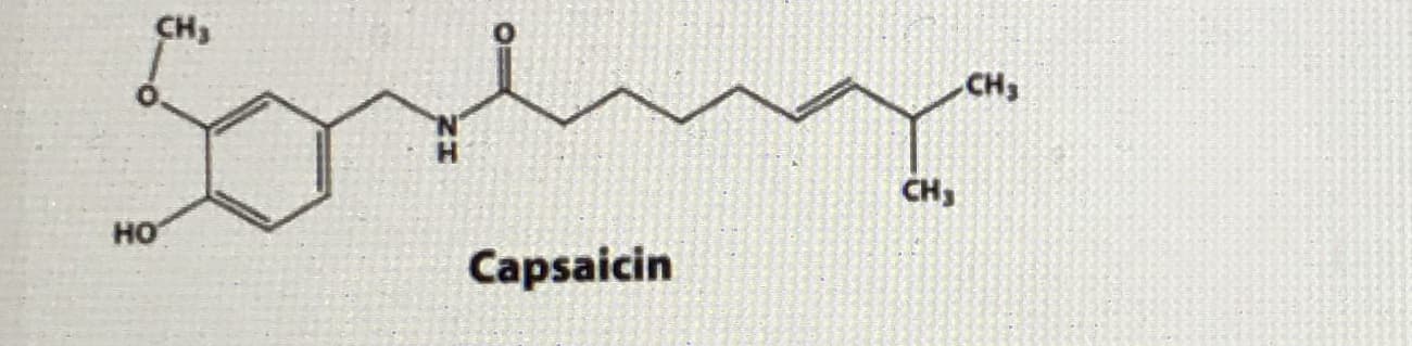 CH3
CH3
N'
CH3
HO
Capsaicin

