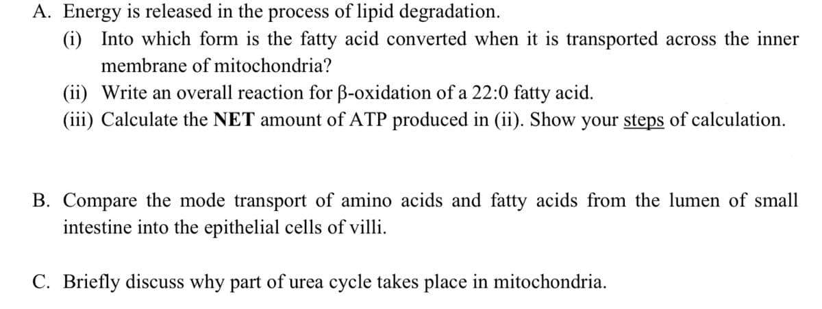 A. Energy is released in the process of lipid degradation.
(i) Into which form is the fatty acid converted when it is transported across the inner
membrane of mitochondria?
(ii) Write an overall reaction for B-oxidation of a 22:0 fatty acid.
(iii) Calculate the NET amount of ATP produced in (ii). Show your steps of calculation.
B. Compare the mode transport of amino acids and fatty acids from the lumen of small
intestine into the epithelial cells of villi.
C. Briefly discuss why part of urea cycle takes place in mitochondria.
