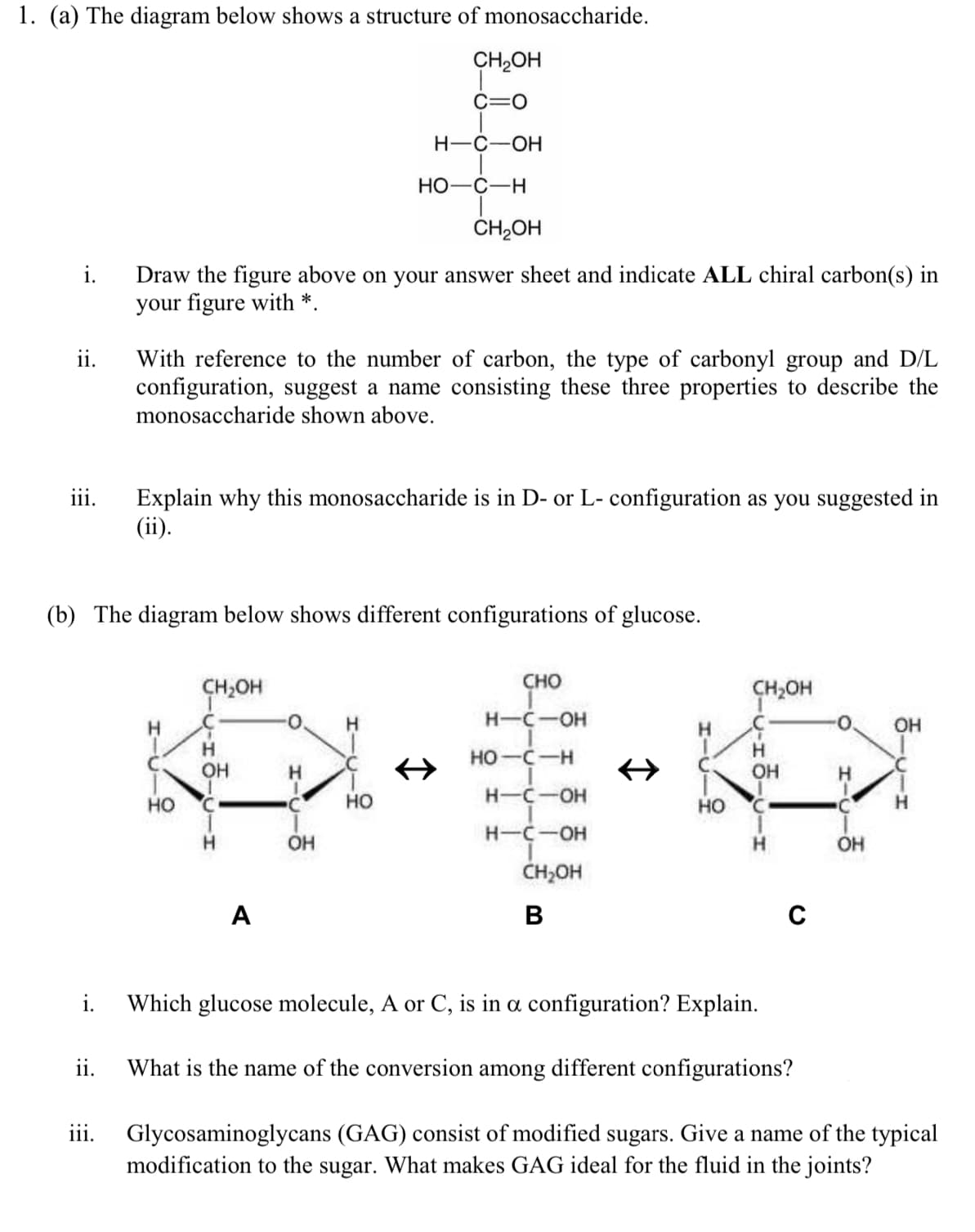 1. (a) The diagram below shows a structure of monosaccharide.
CH,OH
C=0
H-C-OH
НО—С—Н
ČH,OH
i.
Draw the figure above on your answer sheet and indicate ALL chiral carbon(s) in
your figure with *.
ii.
With reference to the number of carbon, the type of carbonyl group and D/L
configuration, suggest a name consisting these three properties to describe the
monosaccharide shown above.
Explain why this monosaccharide is in D- or L- configuration as you suggested in
(ii).
111.
(b) The diagram below shows different configurations of glucose.
CH,OH
CHO
ÇH,OH
H
H-C-OH
O.
OH
H.
H.
OH
H.
H
OH
HO-C-H
но
H-C-OH
но
H.
H-C-OH
OH
OH
ČH,OH
A
В
C
i.
Which glucose molecule, A or C, is in a configuration? Explain.
ii.
What is the name of the conversion among different configurations?
iii.
Glycosaminoglycans (GAG) consist of modified sugars. Give a name of the typical
modification to the sugar. What makes GAG ideal for the fluid in the joints?
to
