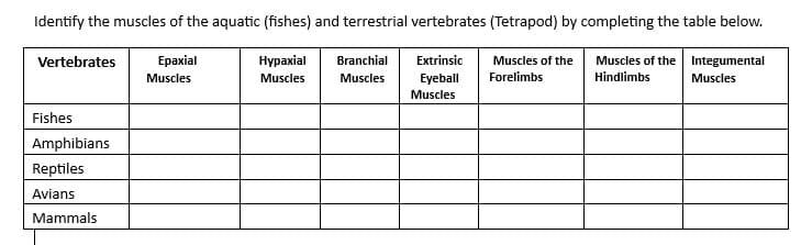 Identify the muscles of the aquatic (fishes) and terrestrial vertebrates (Tetrapod) by completing the table below.
Epaxial
Muscles
Hypaxial
Muscles
Extrinsic Muscles of the
Eyeball Forelimbs
Muscles
Muscles of the Integumental
Hindlimbs Muscles
Vertebrates
Fishes
Amphibians
Reptiles
Avians
Mammals
Branchial
Muscles