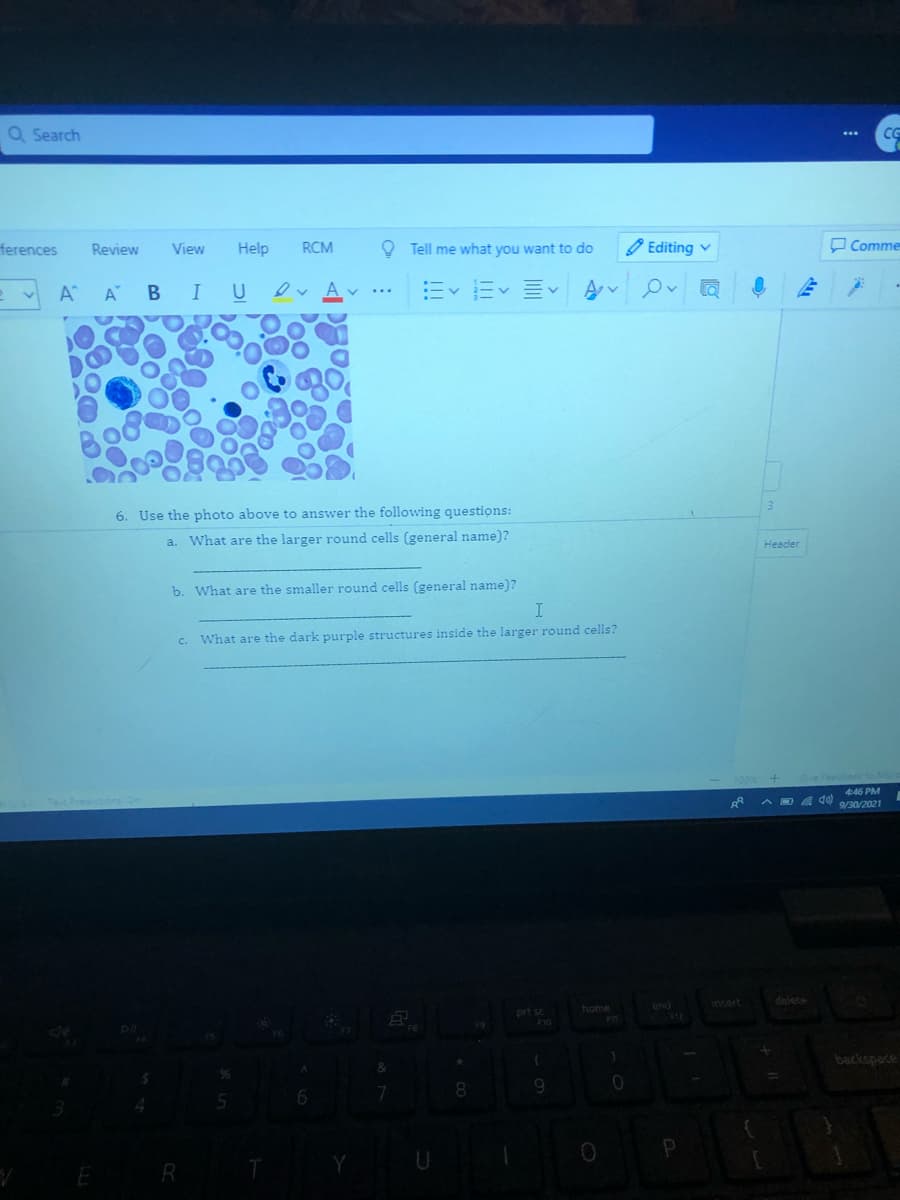 Q Search
CG
ferences
Help
O Tell me what you want to do
O Editing v
O Comme
Review
View
RCM
A A B I
U
6. Use the photo above to answer the following questions:
a. What are the larger round cells (general name)?
Header
b. What are the smaller round cells (general name)?
c. What are the dark purple structures inside the larger round cells?
446 PM
9/30/2021
delete
und
Insert
home
prt sc
backspace
8
9
