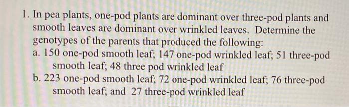 1. In pea plants, one-pod plants are dominant over three-pod plants and
smooth leaves are dominant over wrinkled leaves. Determine the
genotypes of the parents that produced the following:
a. 150 one-pod smooth leaf; 147 one-pod wrinkled leaf; 51 three-pod
smooth leaf; 48 three pod wrinkled leaf
b. 223 one-pod smooth leaf; 72 one-pod wrinkled leaf; 76 three-pod
smooth leaf; and 27 three-pod wrinkled leaf
