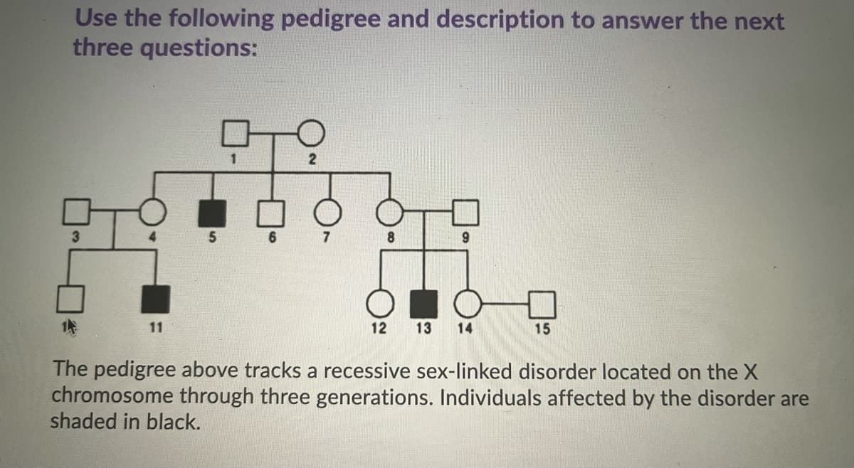 Use the following pedigree and description to answer the next
three questions:
2
5
6
6.
11
12
13 14
15
The pedigree above tracks a recessive sex-linked disorder located on the X
chromosome through three generations. Individuals affected by the disorder are
shaded in black.
