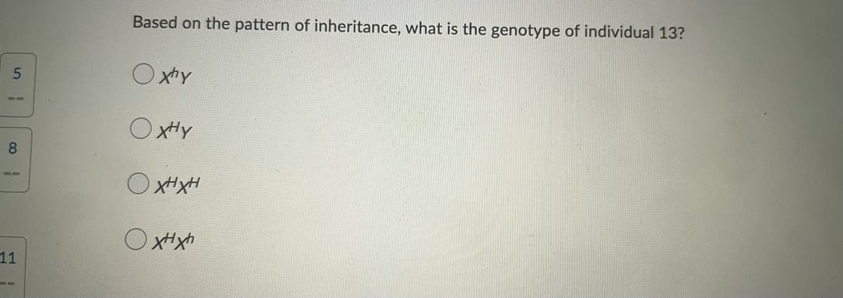 Based on the pattern of inheritance, what is the genotype of individual 13?
O xhy
OxHy
8
--
O xHxh
11

