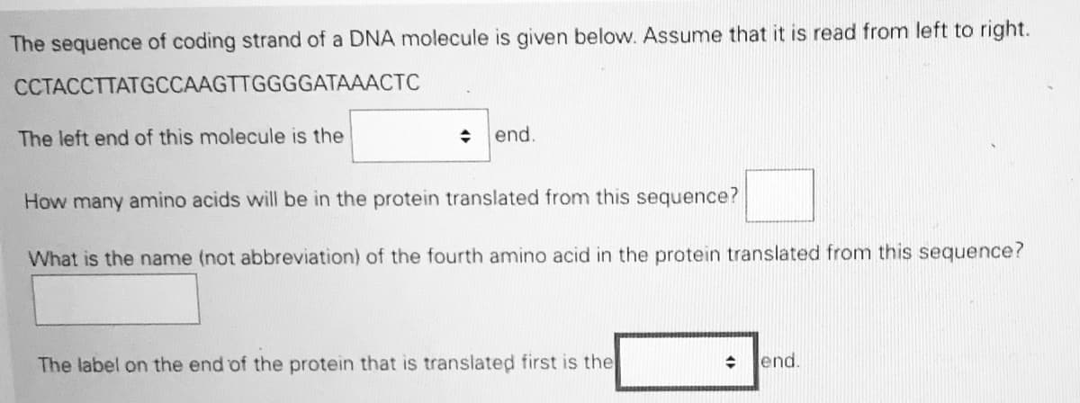 The sequence of coding strand of a DNA molecule is given below. Assume that it is read from left to right.
CCTACCTTATGCCAAGTTGGGGATAAACTC
The left end of this molecule is the
end.
How many amino acids will be in the protein translated from this sequence?
What is the name (not abbreviation) of the fourth amino acid in the protein translated from this sequence?
The label on the end of the protein that is translated first is the
+ Jend.
