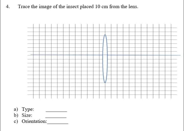 4.
Trace the image of the insect placed 10 cm from the lens.
а) Туре:
b) Size:
c) Orientation:
