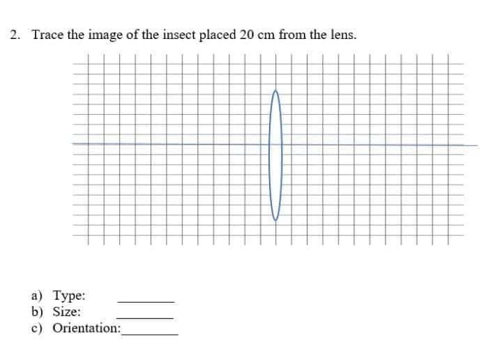 2. Trace the image of the insect placed 20 cm from the lens.
а) Туре:
b) Size:
c) Orientation:
