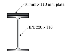10 mm x 110 mm plate
IPE 220 x 110
I™