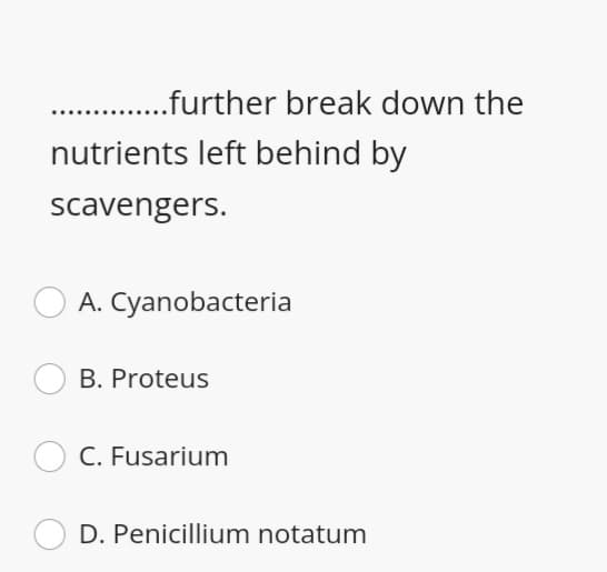 .further break down the
nutrients left behind by
scavengers.
A. Cyanobacteria
B. Proteus
C. Fusarium
D. Penicillium notatum
