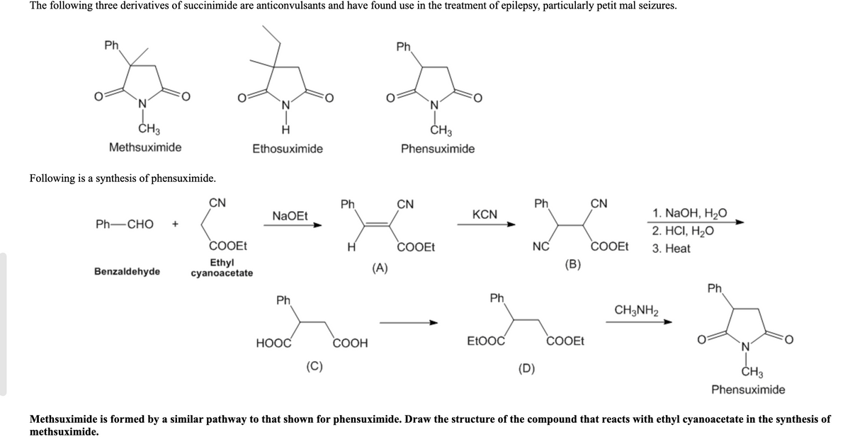 The following three derivatives of succinimide are anticonvulsants and have found use in the treatment of epilepsy, particularly petit mal seizures.
Ph
Ph
`N'
`N'
ČH3
ČH3
Methsuximide
Ethosuximide
Phensuximide
Following is a synthesis of phensuximide.
CN
Ph
CN
Ph
CN
1. NaOH, H2O
2. HC, Н20
NaOEt
KCN
Ph-CHO
cOOEt
H
cOOEt
NC
COOEt
3. Нeat
Ethyl
cyanoacetate
(A)
(B)
Benzaldehyde
Ph
Ph
Ph
CH;NH2
НООС
СООН
Et0oC
COOEt
`N'
(C)
(D)
ČH3
Phensuximide
Methsuximide is formed by a similar pathway to that shown for phensuximide. Draw the structure of the compound that reacts with ethyl cyanoacetate in the synthesis of
methsuximide.
