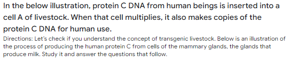 In the below illustration, protein C DNA from human beings is inserted into a
cell A of livestock. When that cell multiplies, it also makes copies of the
protein C DNA for human use.
Directions: Let's check if you understand the concept of transgenic livestock. Below is an illustration of
the process of producing the human protein C from cells of the mammary glands, the glands that
produce milk. Study it and answer the questions that follow.
